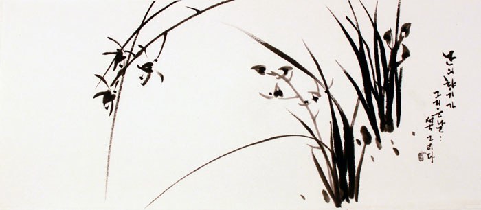 sungsook orchid(s).jpg