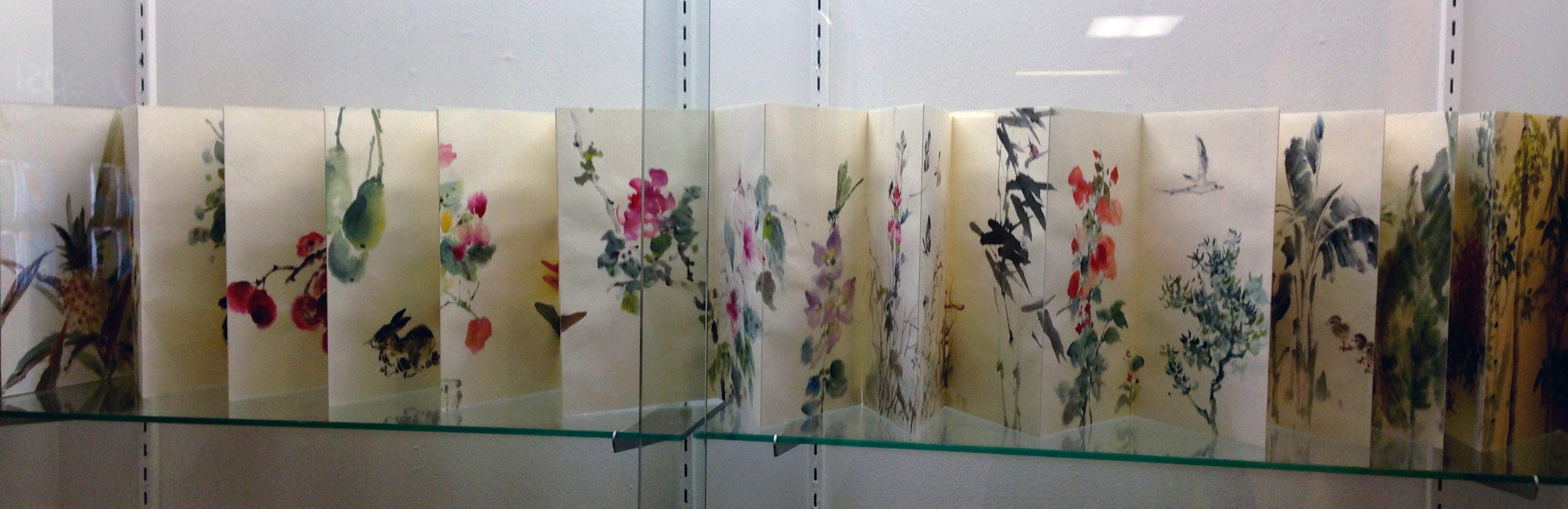 Hawai Plants Studies