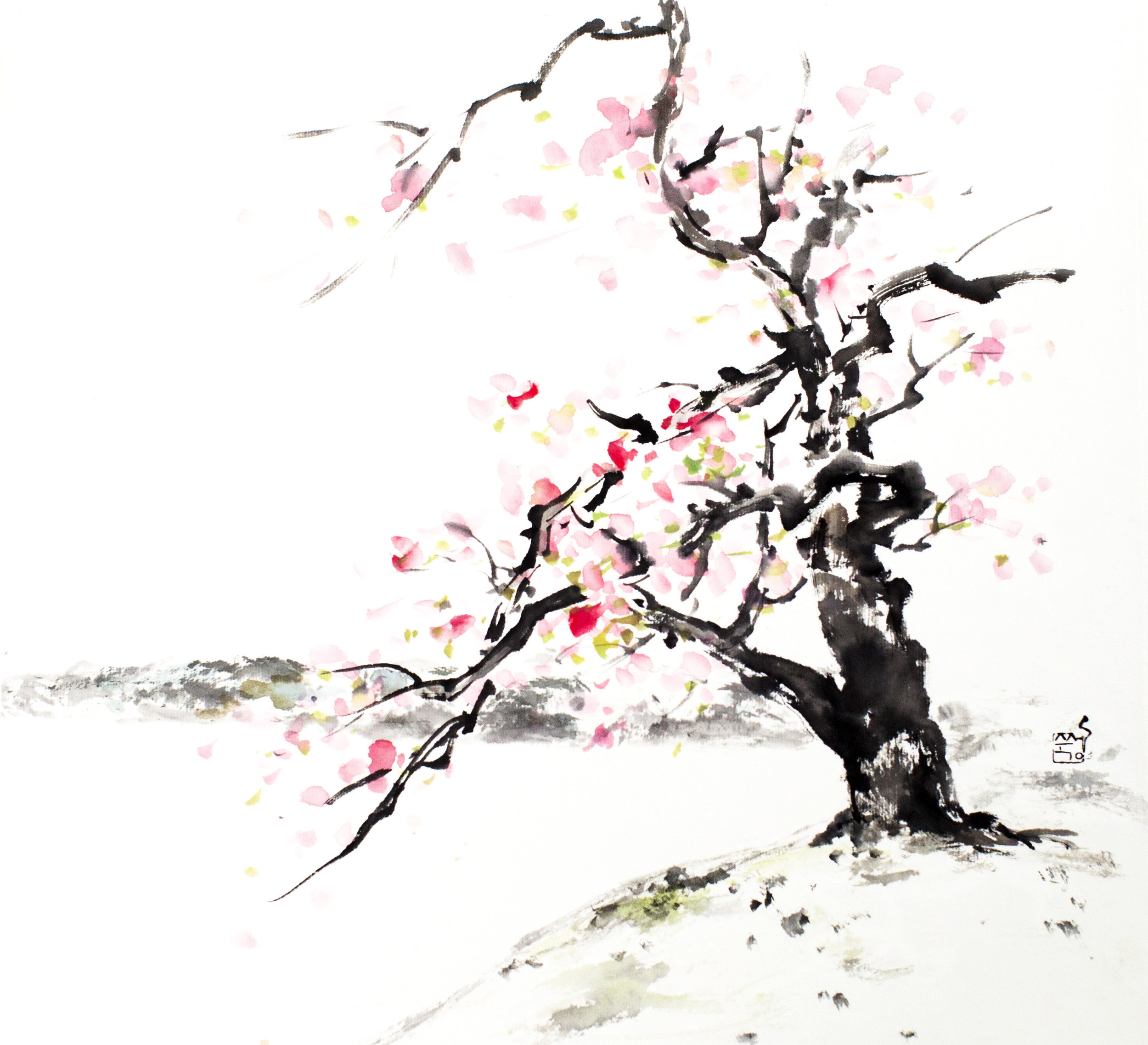 cherry tree.jpg