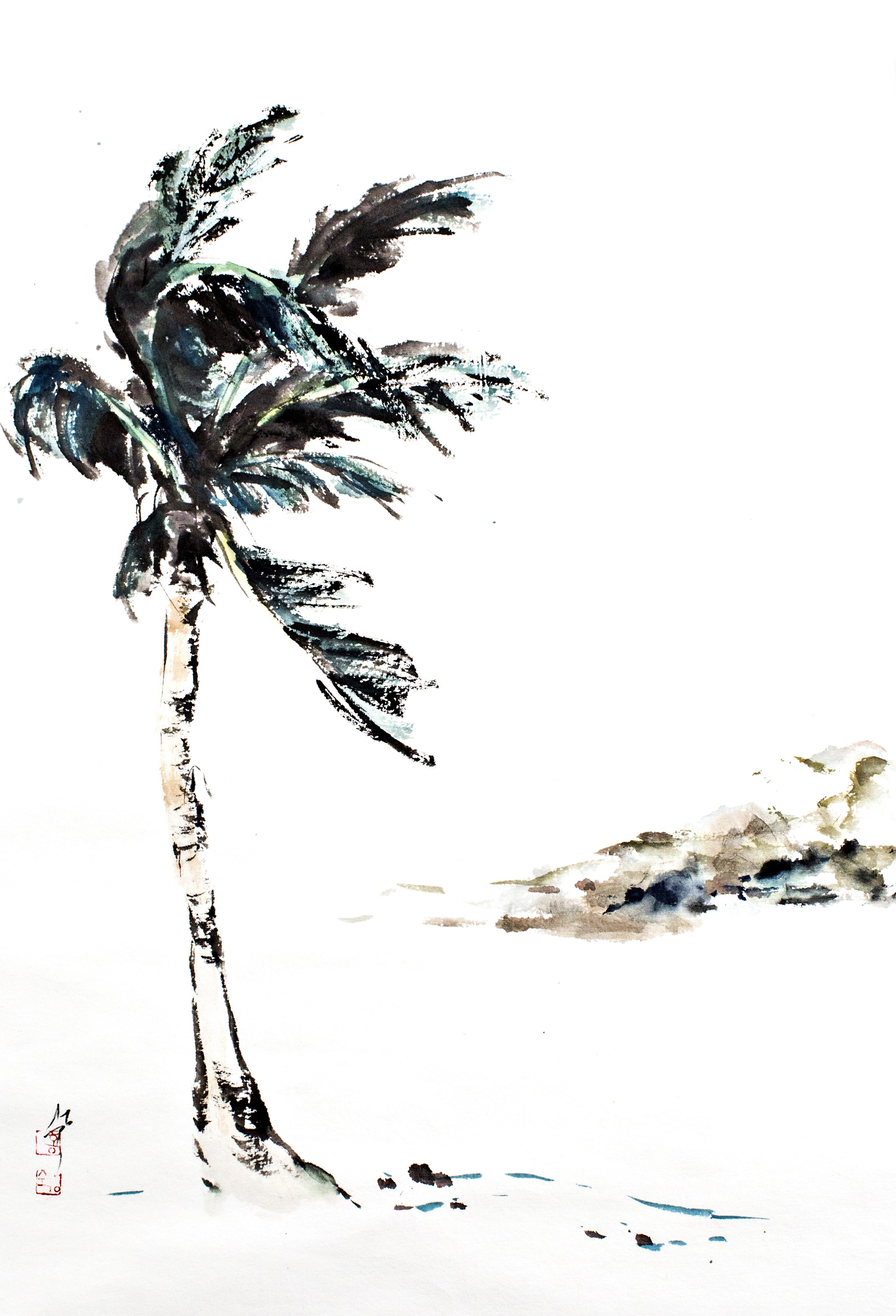 palm tree.jpg
